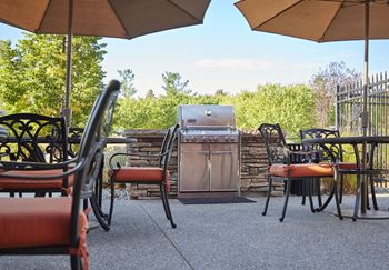 Bbq grills
